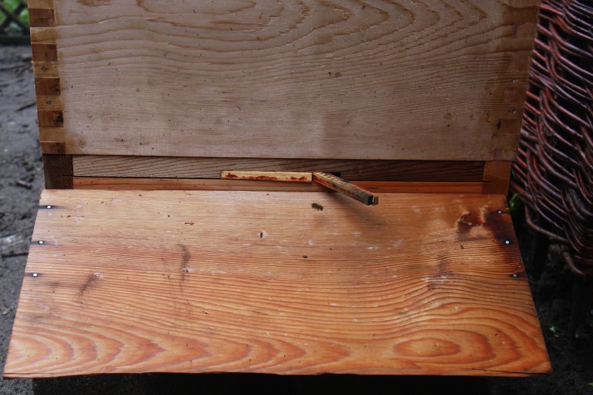 a simple wasp guard made from pieces of National brood frames.